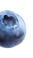 blueberry